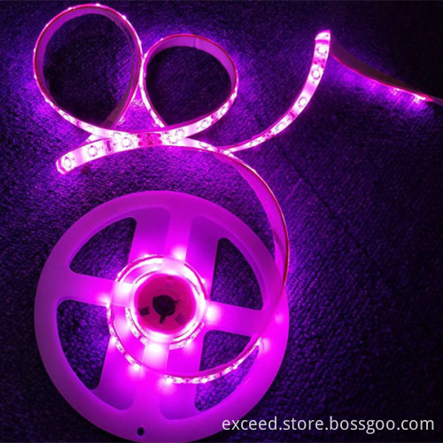 Double Intelligent Sensor LED Bed Light